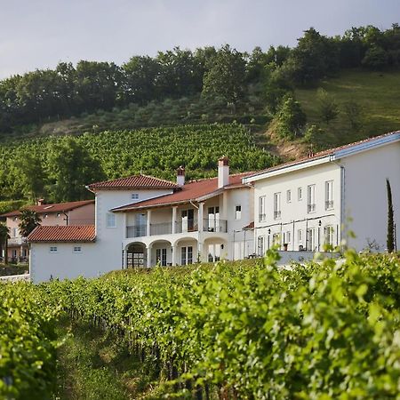 Bed and Breakfast Peterc Vineyard Estate Kojsko Экстерьер фото