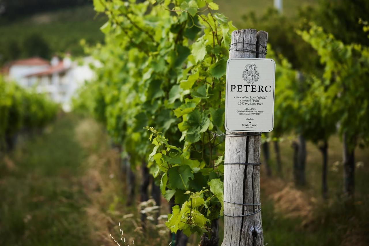 Bed and Breakfast Peterc Vineyard Estate Kojsko Экстерьер фото